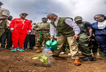 KMTC Strengthens Support for Kaptagat Conservation Programme