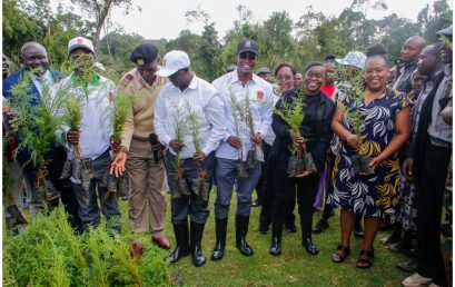 KMTC CEO JOINS CABINET SECRETARY IN WEST POKOT FOR NATIONAL TREE-GROWING INITIATIVE