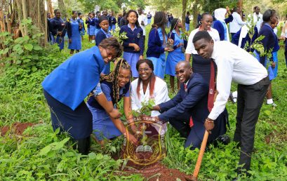 College and Equity Bank plants 5000 trees to mark World Healing Day