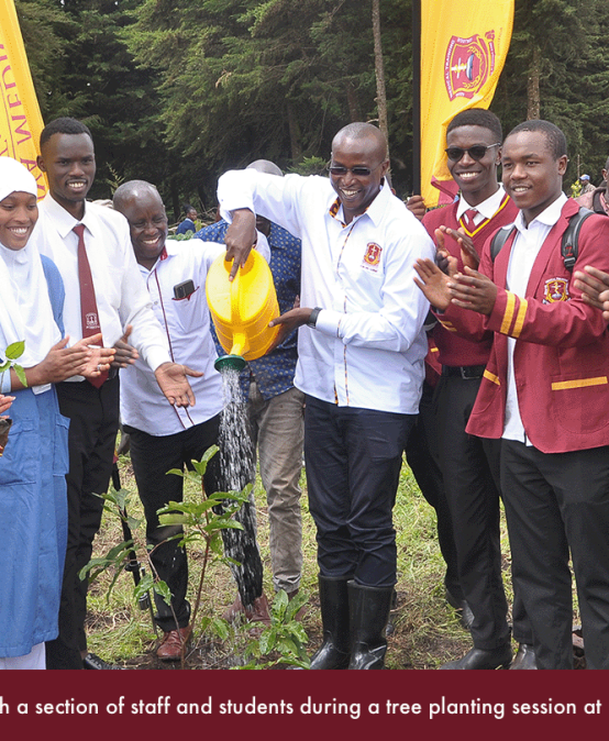 KMTC join hands to plant 3000 trees in Kinale Forest in Kiambu County